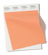 PANTONE 15-1530.jpg